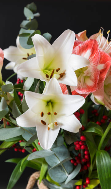 istock bouquet lily and amaryllis flowers 1085366850