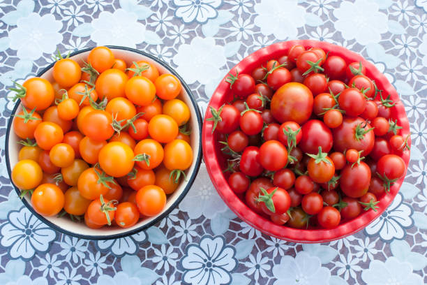 istock red and yellow cherry tomatoes in a plate 1085376796