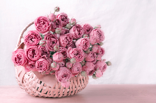 rose flowers in wicker basket on wooden table, closeup