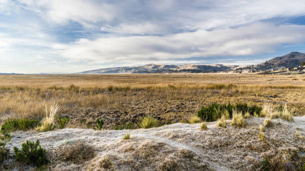 istock Morning frost on lake Titicaca 1085383854