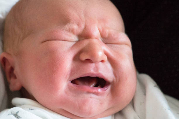 istock Newborn baby boy crying 1085393194