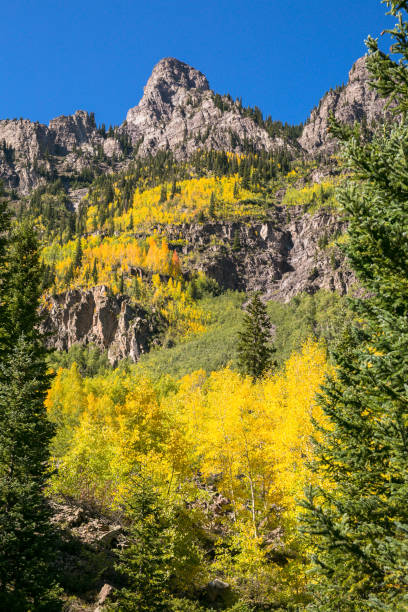 istock Aspen, Colorado Fall Foliage 1085393282
