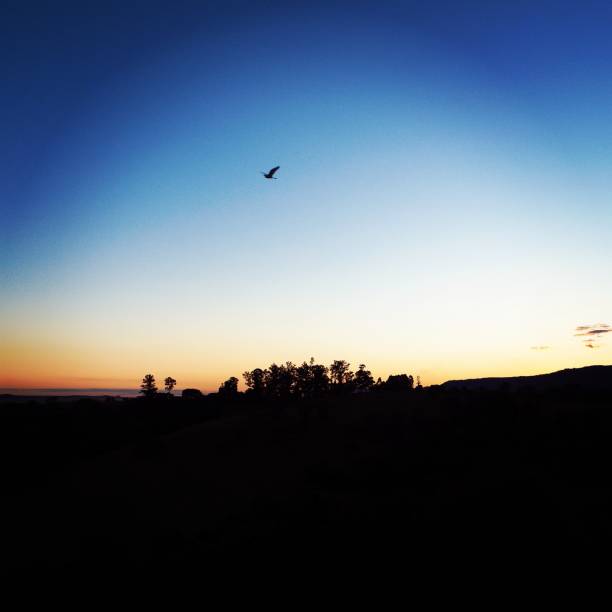 istock Aerial view of sunset 1085397564