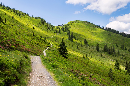 Unrecognizable people walk on beautiful mountain path on Wildenkarkogel Mountain in Alps, Saalbach-Hinterglemm, Zell am See district, Salzburg federal state, Austria, sunny summer day, clear blue sky, exploration wanderlust concept