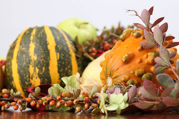 istock Autumn arrangement with pumpkins 108540779