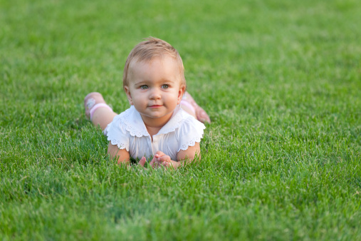 Curious little girl is lying on the summer meadow