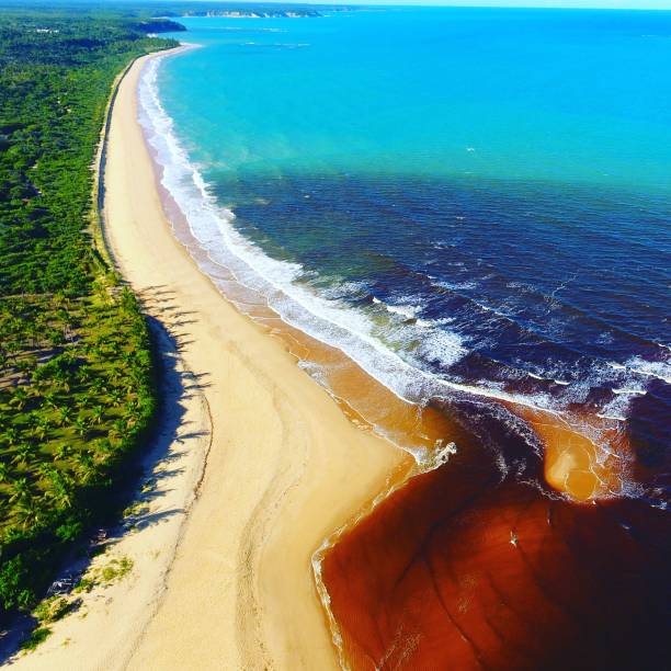 istock Aerial view of beach 1085419494