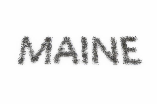 istock Large group of people standing together forming MAINE 1085433134