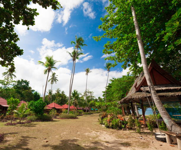 Cтоковое фото Таиланд. Пляж, пальмы, бунгало