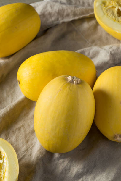istock Raw Organic Yellow Spaghetti Winter Squash 1085437734