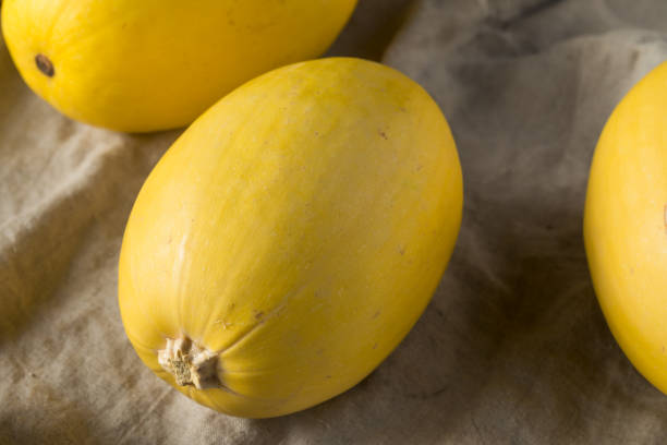 istock Raw Organic Yellow Spaghetti Winter Squash 1085437838