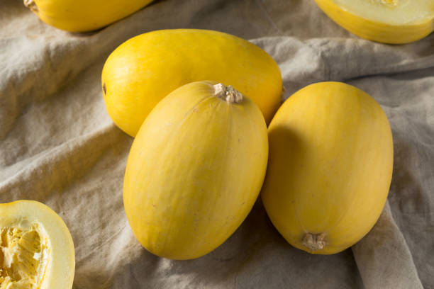 abóbora espaguete amarelo orgânico cru - crookneck squash - fotografias e filmes do acervo