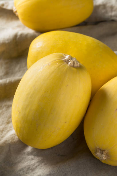 istock Raw Organic Yellow Spaghetti Winter Squash 1085439426