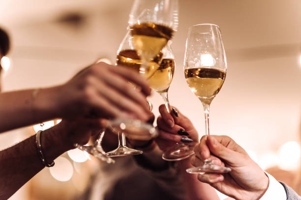 przyjaciele pijący wino w domu - party business toast champagne zdjęcia i obrazy z banku zdjęć