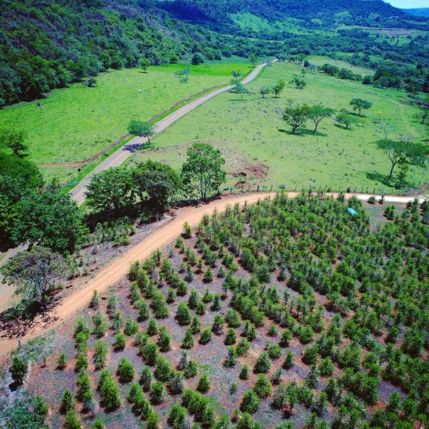 istock Aerial view of rural scene 1085441450