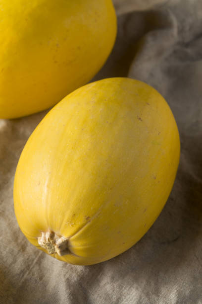 istock Raw Organic Yellow Spaghetti Winter Squash 1085441774