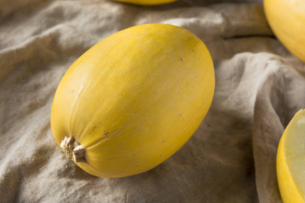 istock Raw Organic Yellow Spaghetti Winter Squash 1085443326