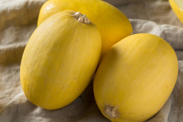 istock Raw Organic Yellow Spaghetti Winter Squash 1085443864