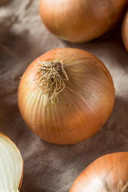 istock Raw Organic Yellow Sweet Onions 1085443972