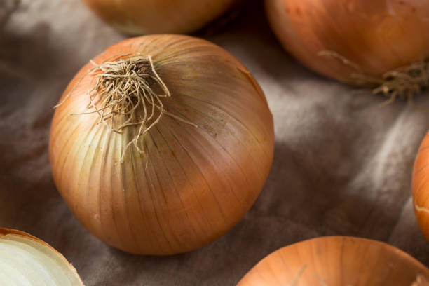 istock Raw Organic Yellow Sweet Onions 1085444234