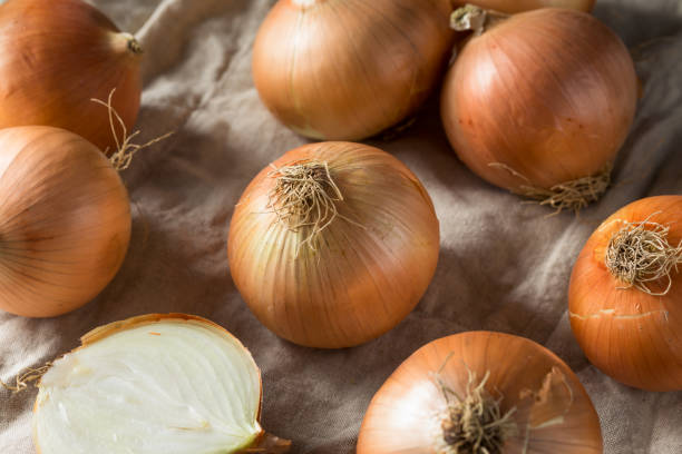 生有機たまねぎ甘い - sweet onion ストックフォトと画像