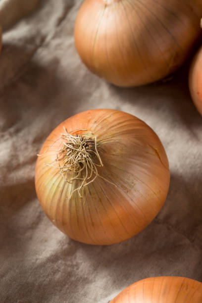 istock Raw Organic Yellow Sweet Onions 1085445398