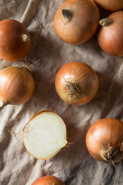 Raw Organic Yellow Sweet Onions