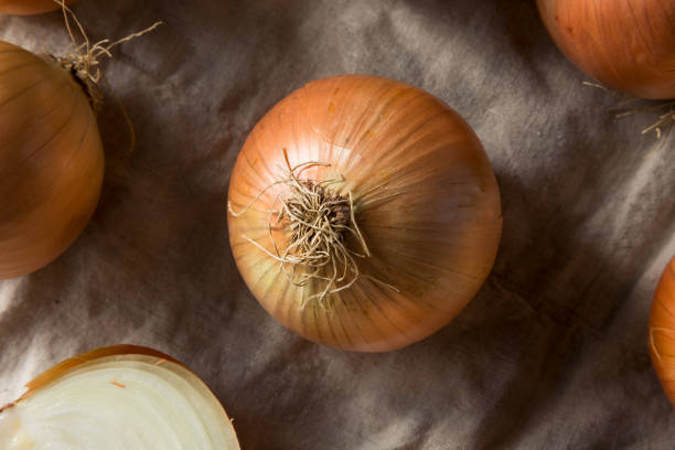 istock Raw Organic Yellow Sweet Onions 1085445450