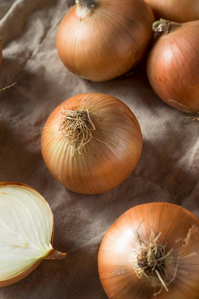 istock Raw Organic Yellow Sweet Onions 1085446312