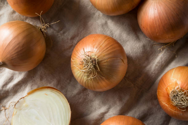 istock Raw Organic Yellow Sweet Onions 1085446372