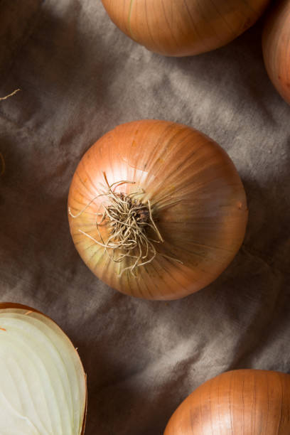 istock Raw Organic Yellow Sweet Onions 1085446448