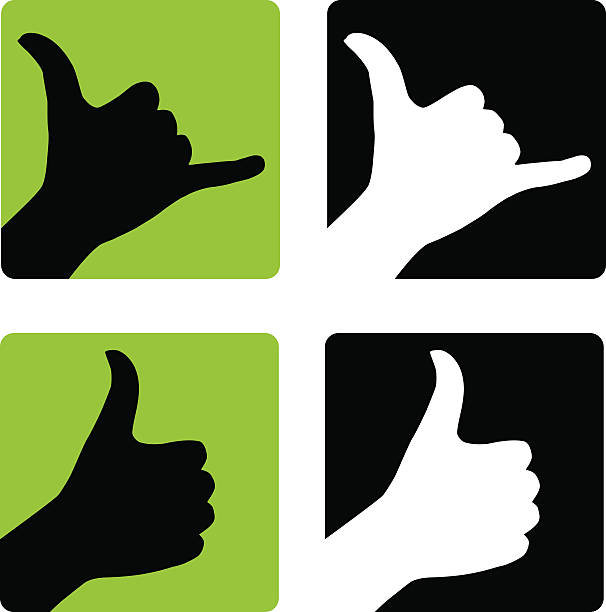 Shaka and Thumbs Up Hand Gestures vector art illustration