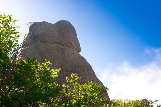 istock Crimea. Demerdzhi rocks landscape 1085449996