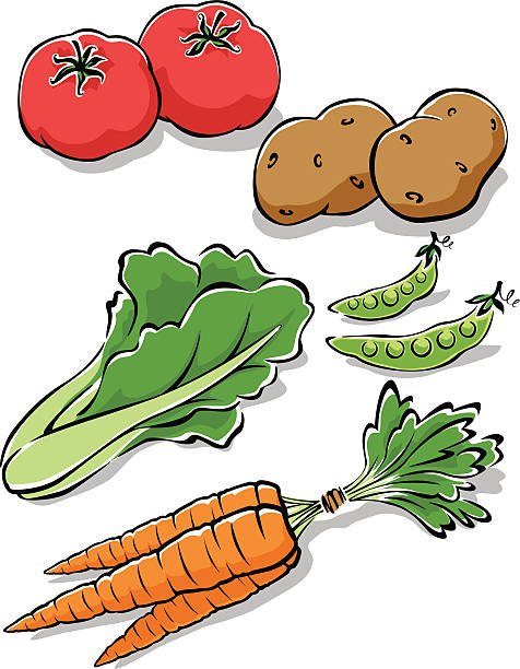 Fresh Garden Vegetables vector art illustration