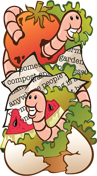 Worm Composting vector art illustration
