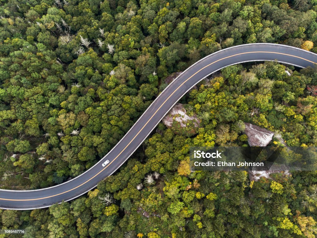 Aerial View of a road winding through a forest Aerial view of a road winding through a dense green forest Road Stock Photo