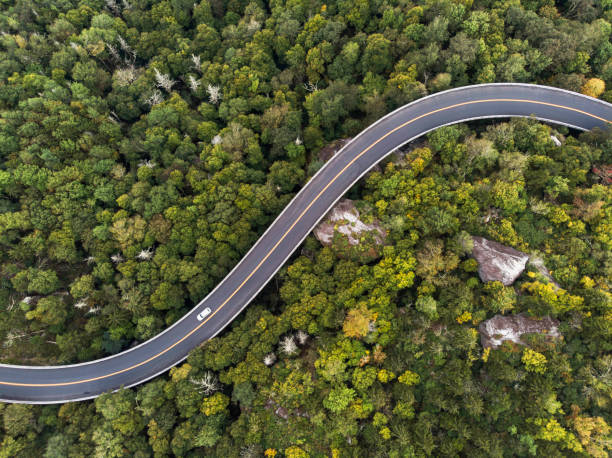 Aerial View of a road winding through a forest Aerial view of a road winding through a dense green forest motor vehicle photos stock pictures, royalty-free photos & images