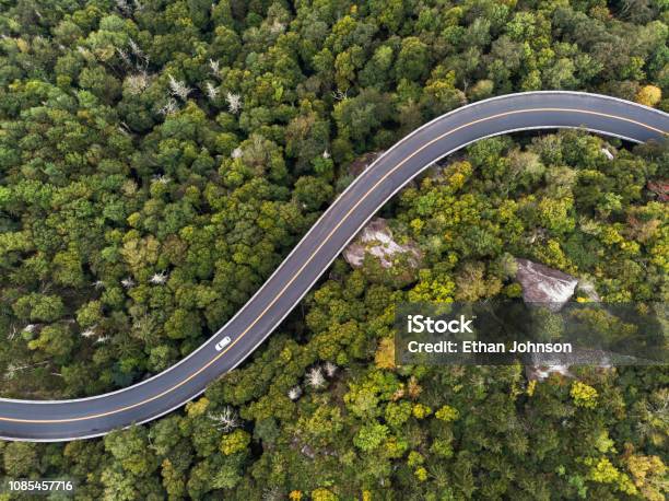 Aerial View Of A Road Winding Through A Forest Stock Photo - Download Image Now - Road, Aerial View, Car