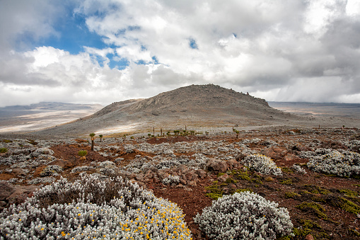 Landscape on the Sanetti Plateau in the Bale Mountains National Park in Ethiopia The landscape is above 4000 meters with a highest point of 4377 meters.