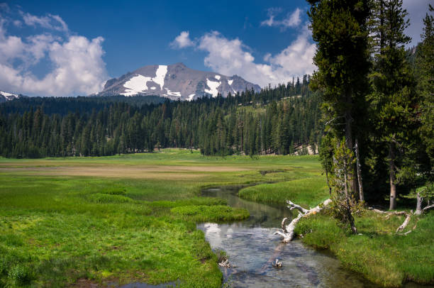 istock Upper Meadow and Mt Lassen in Sunlight 1085468576