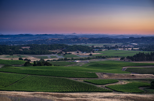 The gorgeous landscape of Northern California's wine country at sunset, looking out over a patchwork of vineyards in Sonoma County.