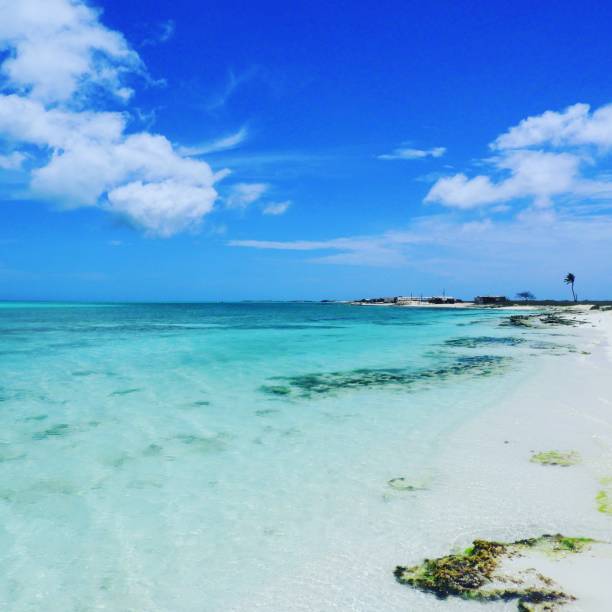 istock Beautiful beach in Brazil 1085477058