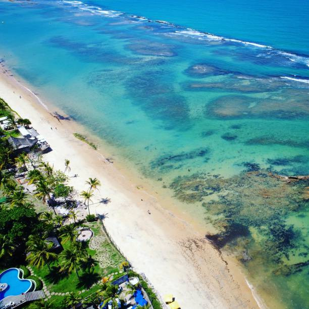 istock Beautiful beach in Brazil 1085477090