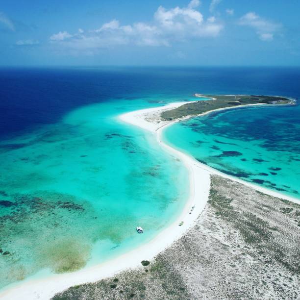 istock Beautiful beach in Brazil 1085477154