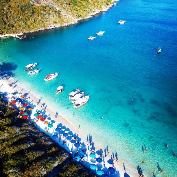 istock Beautiful beach in Brazil 1085477200