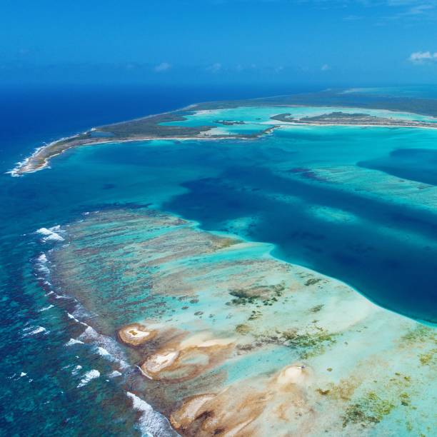 istock Beautiful beach in Brazil 1085477260