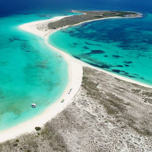 istock Cayo de Agua in Los Roques 1085477282