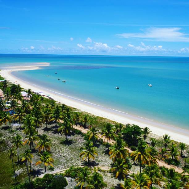 istock Aerial view of beach 1085481518