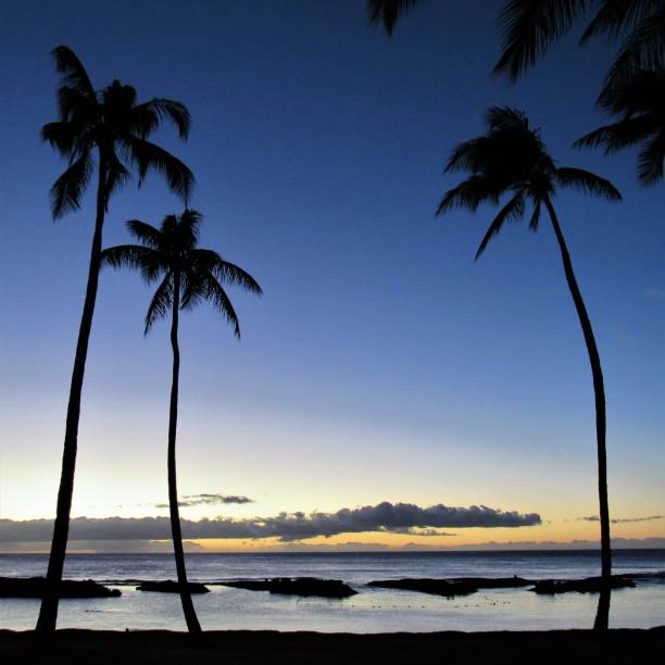 istock Skys after glow from Ko'Olina sunset 12 20 2018, Kapolei, Oahu, HI 1085482780
