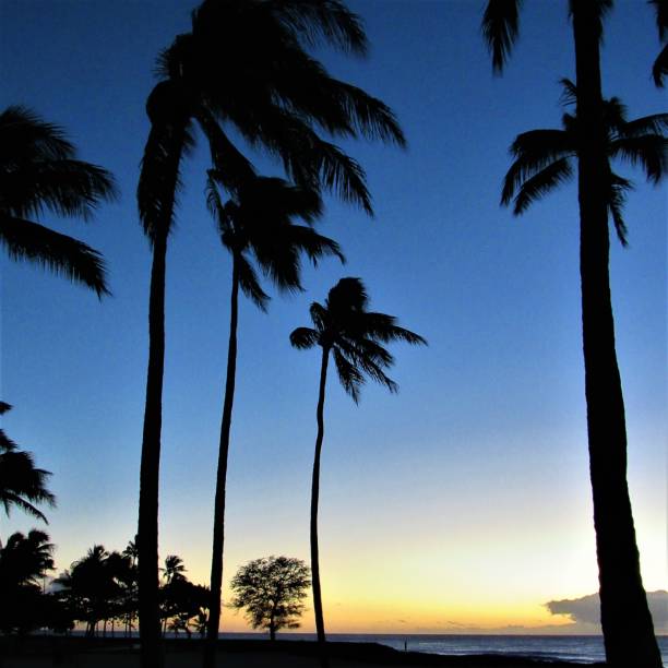 istock Skys after glow from Ko'Olina sunset 12 20 2018, Kapolei, Oahu, HI 1085482786